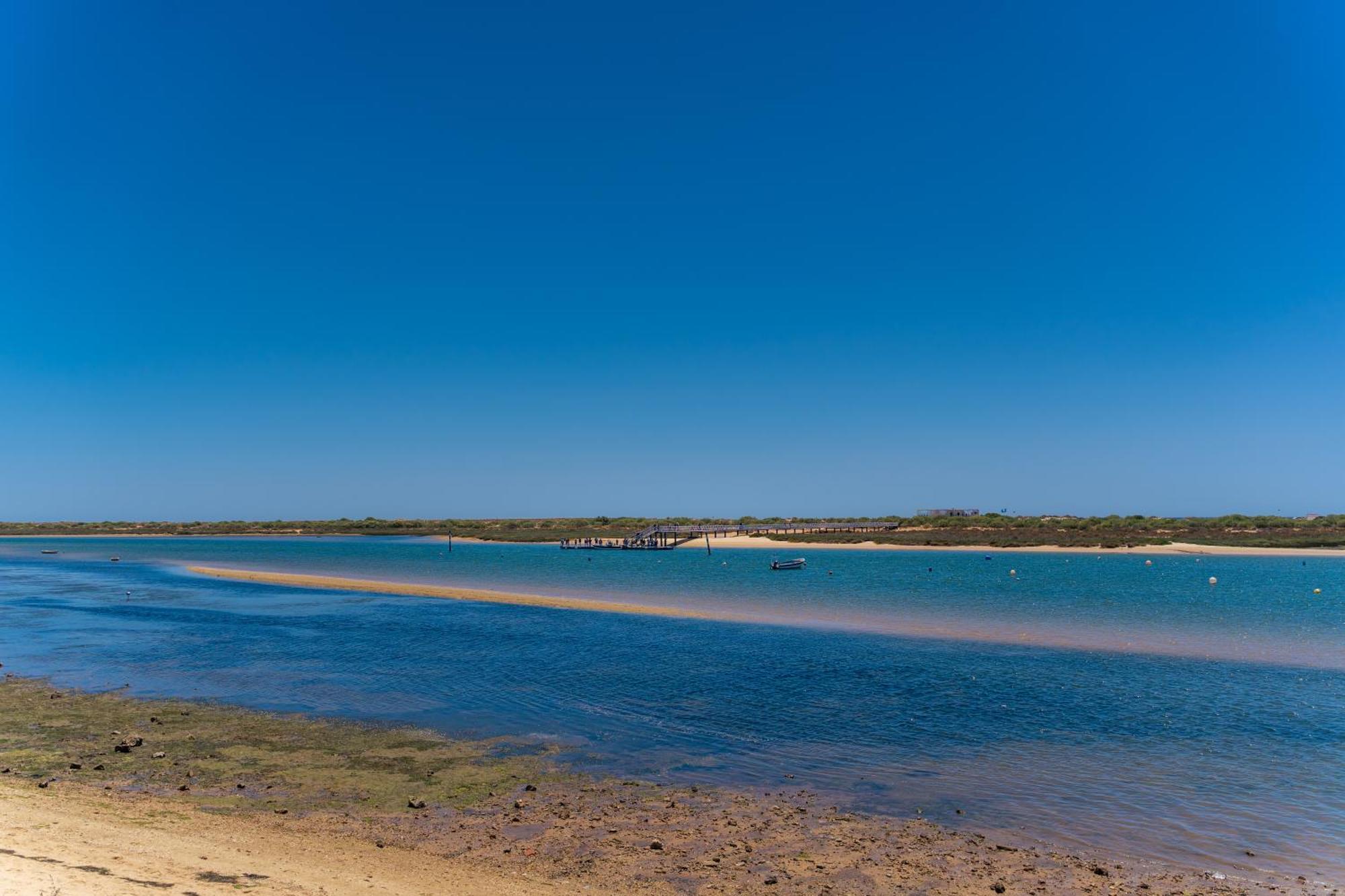 Kampaoh Tavira
